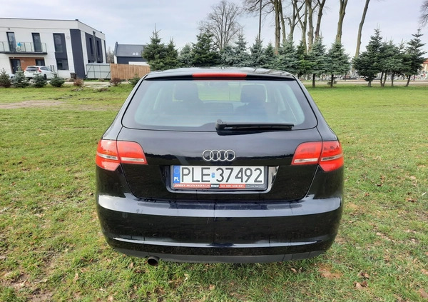 Audi A3 cena 25700 przebieg: 204800, rok produkcji 2009 z Tychy małe 37